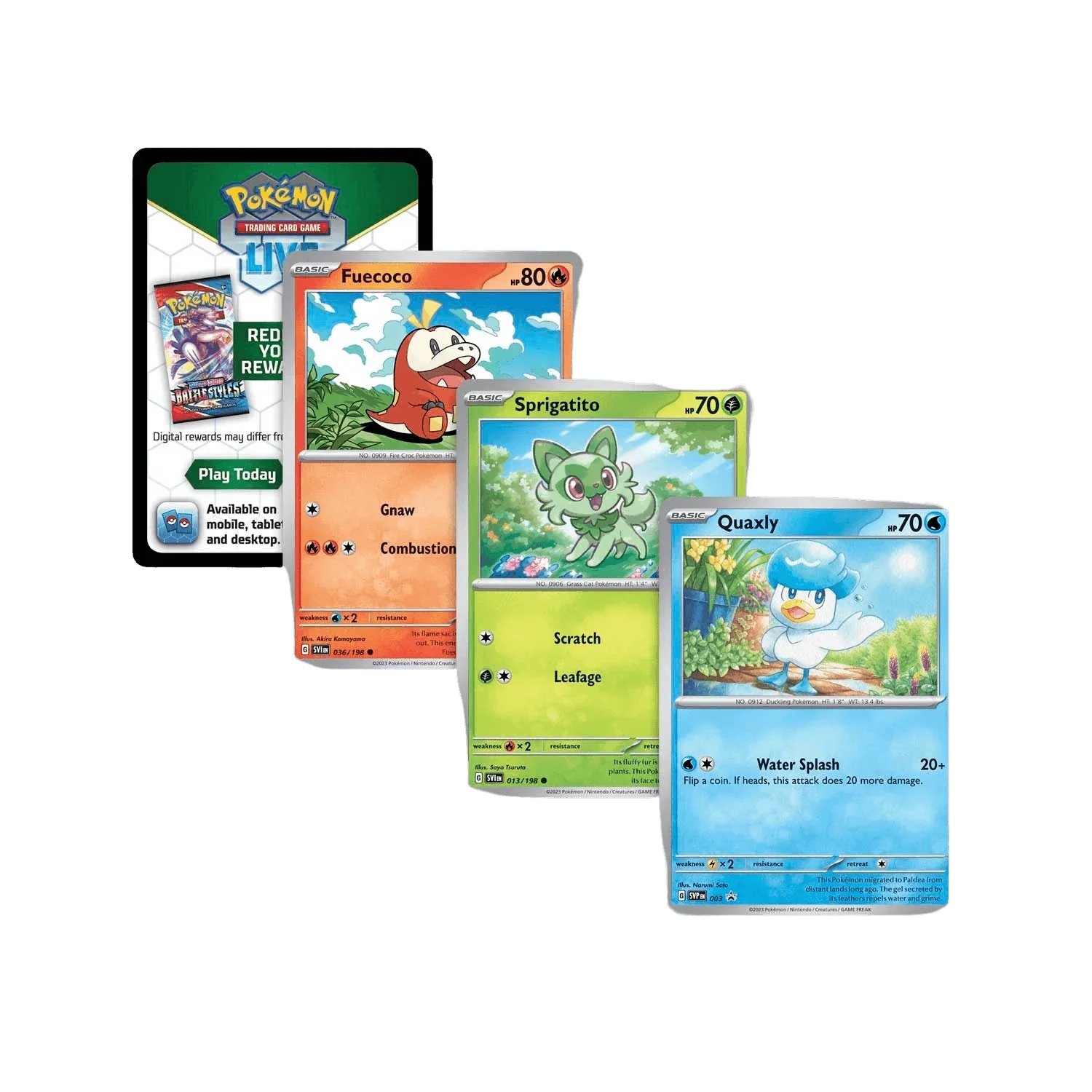 Pokemon TCG: Paldea Collection Box - Quaxly