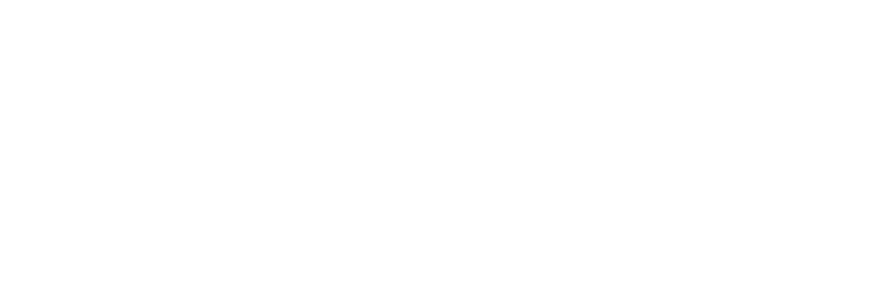 Evolir white logo